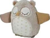 Cloud b Nighty Night Owl Smart
