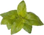Click & Grow Smart Garden refill