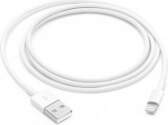 Apple Lightning to USB cable (1