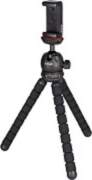 D-Fruit tripod Flexi M + phone