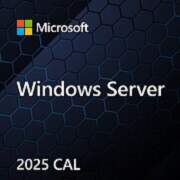 Microsoft OEM Win CAL 2025 Device