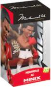 Minix - MUHAMMAD ALI (21598)