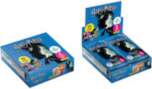 Panini Kolekcja Cards Harry Potter Sachets