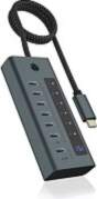 Raidsonic USB-C HUB 7Port 7xUSB-C Display