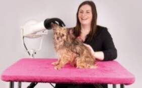 Show Tech+ Table Cover for Grooming