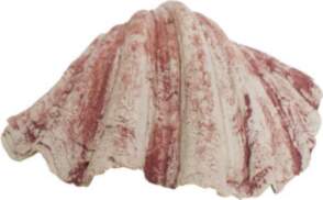 NOBBY akvārija dekors `` SHELL`` -