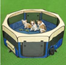 Show Tech Pet Play Park Blue