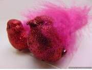 Paradīzes putni