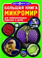 Mann, Ivanov and F Микромир (RU)