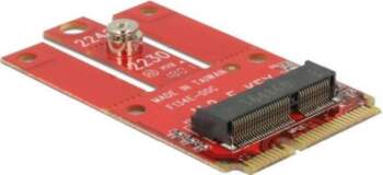 Adapteris Delock Mini PCIe