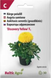 - SAMTENES DISCOVERY YELLOW 30S