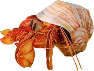 3D puzle MakeBug Hermit Crab MB-B-0008