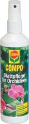 Lapu spīdums Compo, 0.25 l
