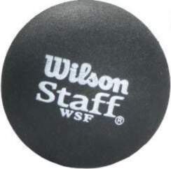Bumbiņa Wilson