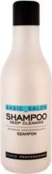 Šampūns Stapiz Basic Salon Deep