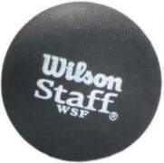 Bumbiņa Wilson