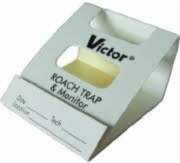 Slazds Victor