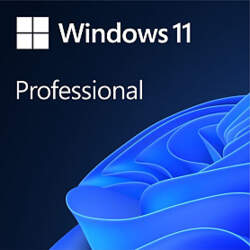 [FQC-10528] Microsoft Windows 11 PRO Programmatūra