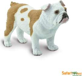 Buldogs, SP250729
