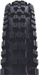 Riepa 29" Schwalbe Eddy Current Front