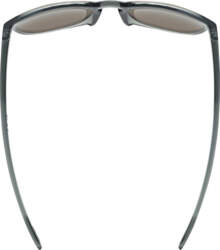 Brilles Uvex LGL 53 smoke /