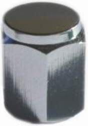 Ventīļmicīte metāla (sudraba)