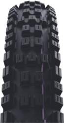 Riepa 29" Schwalbe Eddy Current Front
