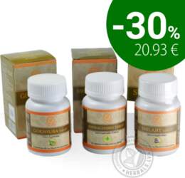 GC ASHWAGANDHA+GOKSHURA+SHILAJEET COMPLEX 3 x 60