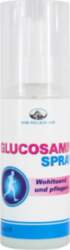 Glucosamin Spray 100ml