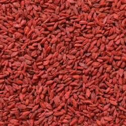 Goji Berry 5kg