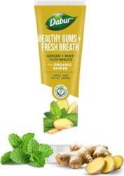 Dabur BIO GINGER MINT TOOTHPASTE -