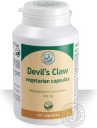 Herbals Devil`s Claw caps 500mg N120
