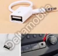 AUX adapteris 3.5mm-USB