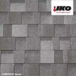 IKO Cambridge Xpress bituma šindelis Harvard