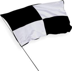 Neringa pilsētas karogs