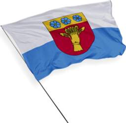 Rūjienas karogs