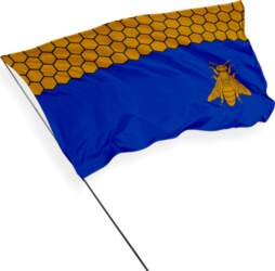 Viļānu karogs