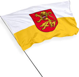 Bauskas karogs