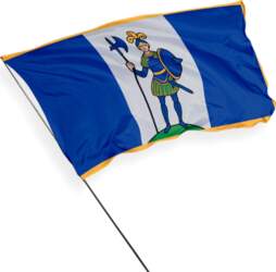 Daugai pilsētas karogs