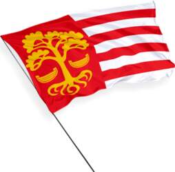 Loksa pilsētas karogs