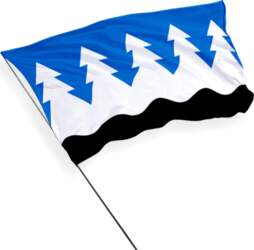 Mustvee pašvaldības karogs