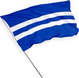 Paldiski pilsētas karogs