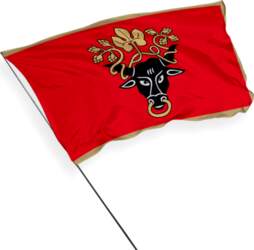 Pasvalys pilsētas karogs