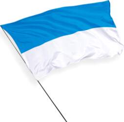 Viljandi pilsētas karogs