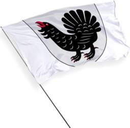 Centrālās Somijas reģiona karogs