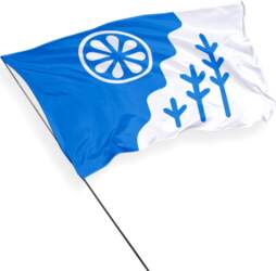 Kose pašvaldības karogs