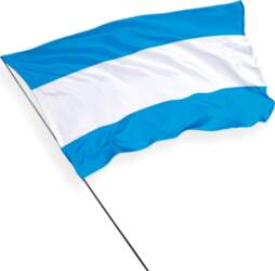 Maardu pilsētas karogs