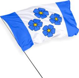 Mulgi pašvaldības karogs