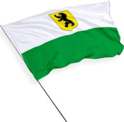 Paärnumaa apriņķa karogs