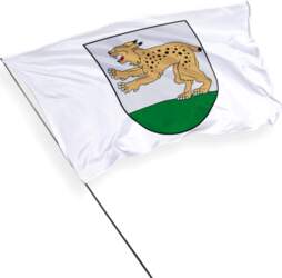 Raseiniai pilsētas karogs